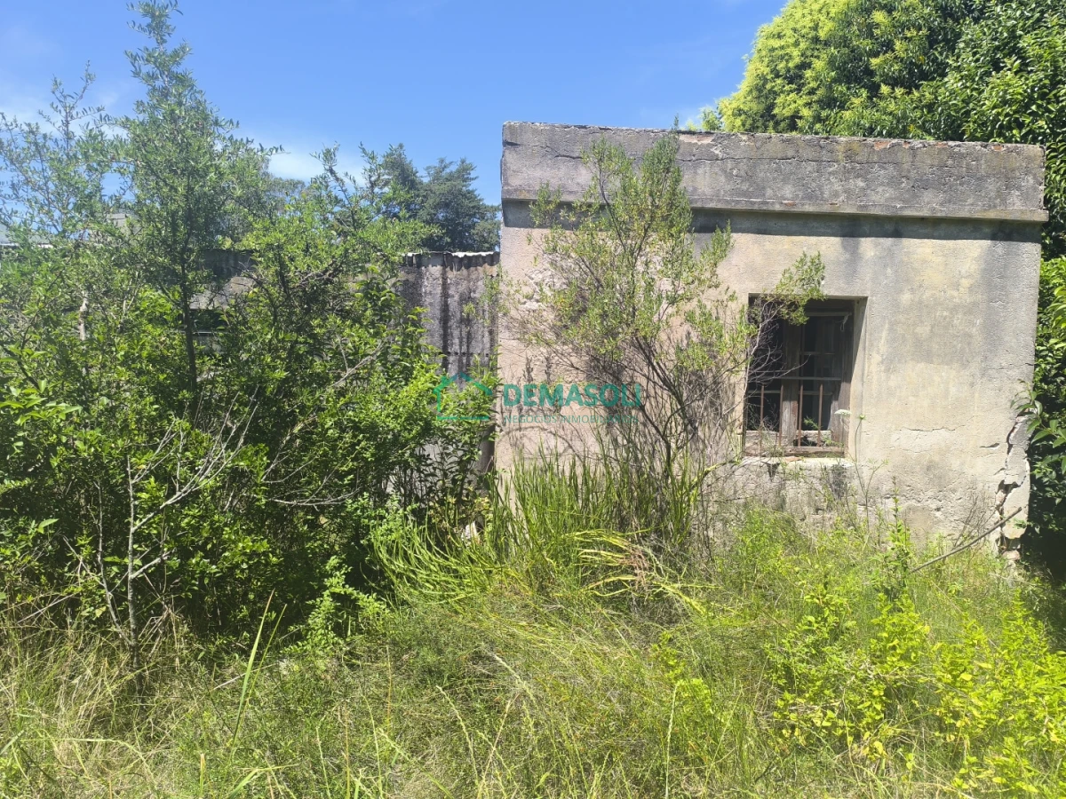 Chacra ID.1376 - 3 has 3120 m2 chacra con casas y Piscina a pocos minutos de Pan de Azúcar, Maldonado 