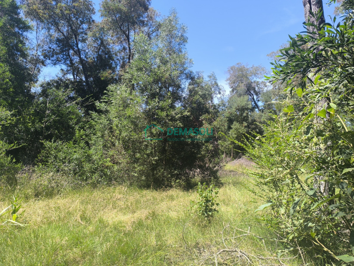 Chacra ID.1376 - 3 has 3120 m2 chacra con casas y Piscina a pocos minutos de Pan de Azúcar, Maldonado 