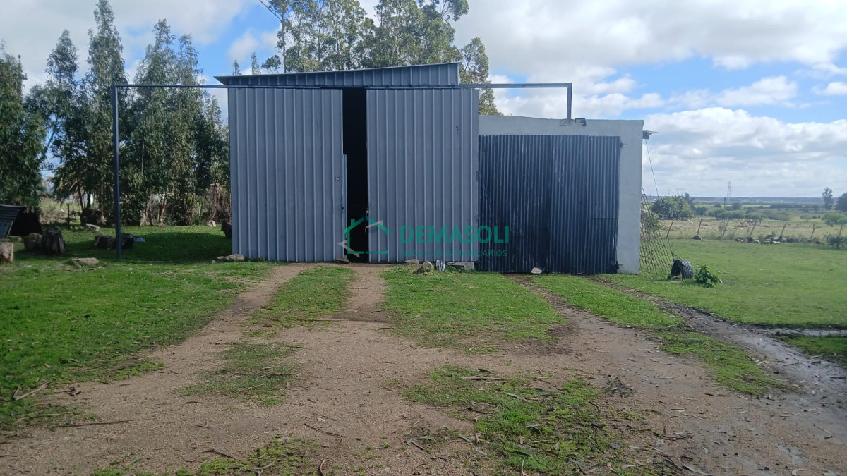 Chacra ID.1570 - Chacra con casa de 3 has Solis Grande, Maldonado