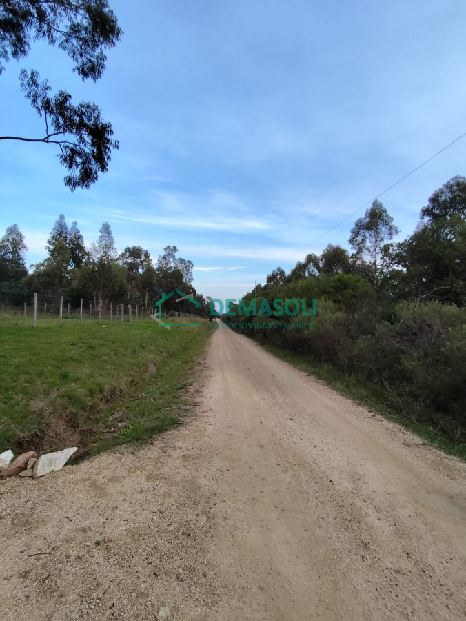 Chacra ID.1279 - CHACRA EN CERROS AZULES