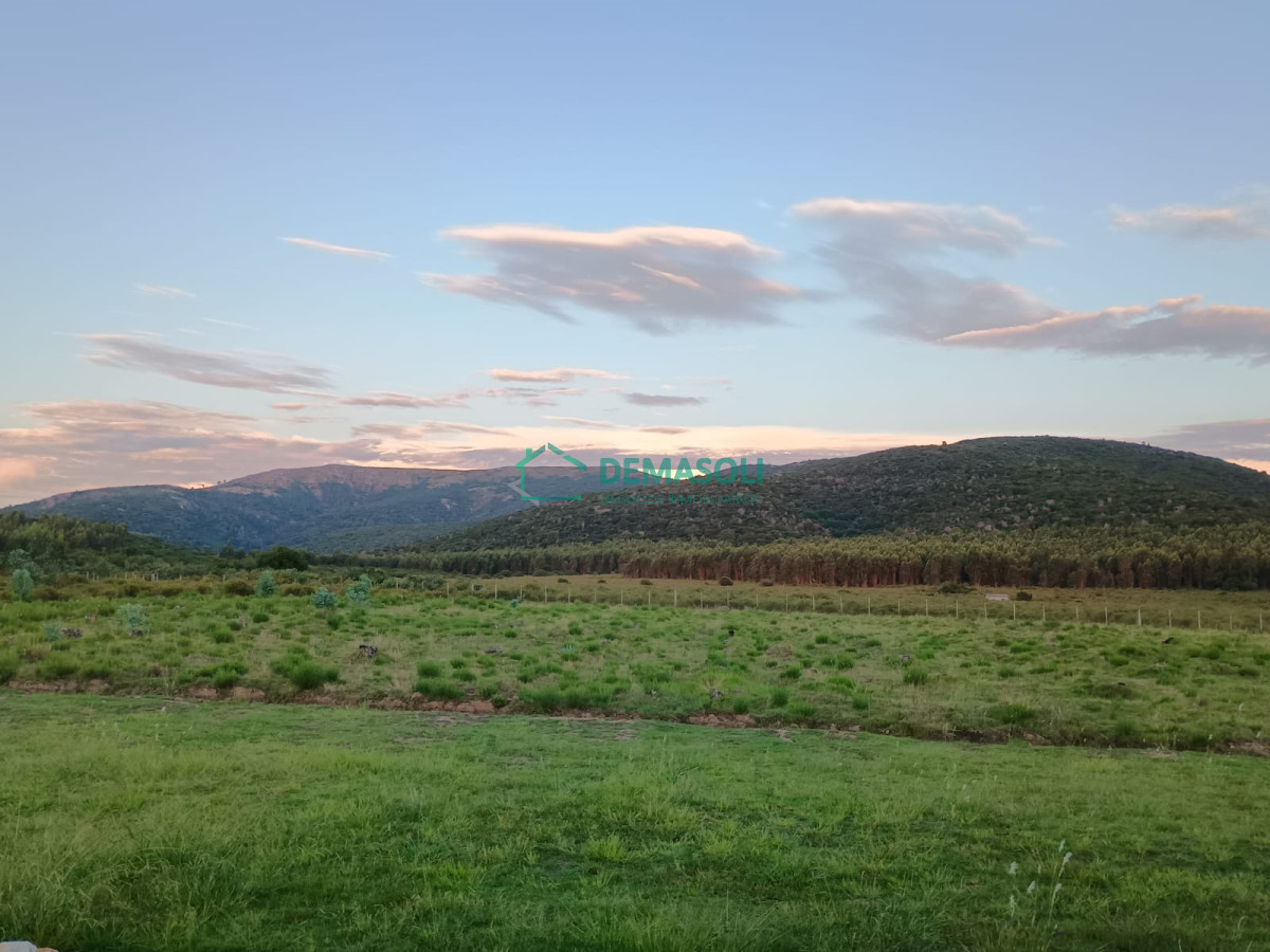 Chacra ID.1279 - CHACRA EN CERROS AZULES