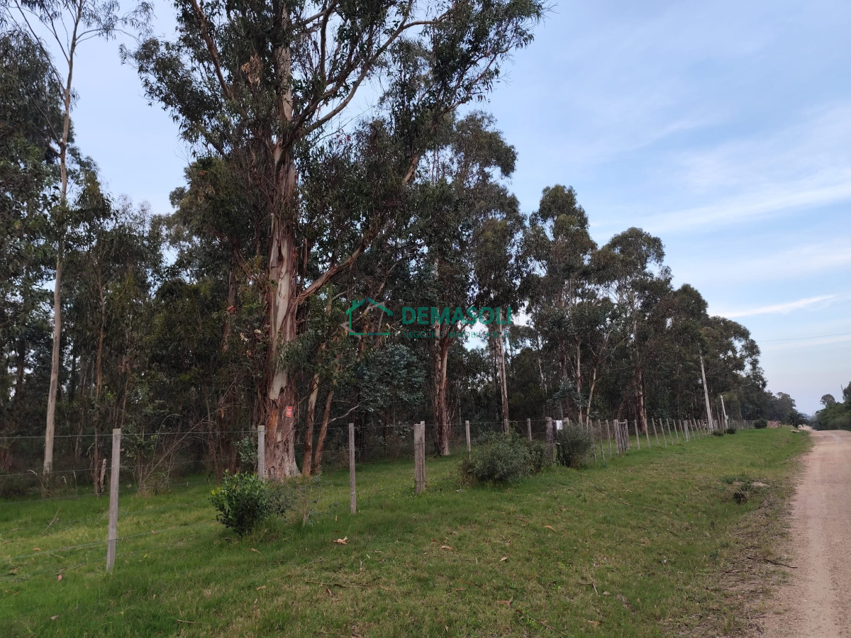Chacra ID.1279 - CHACRA EN CERROS AZULES