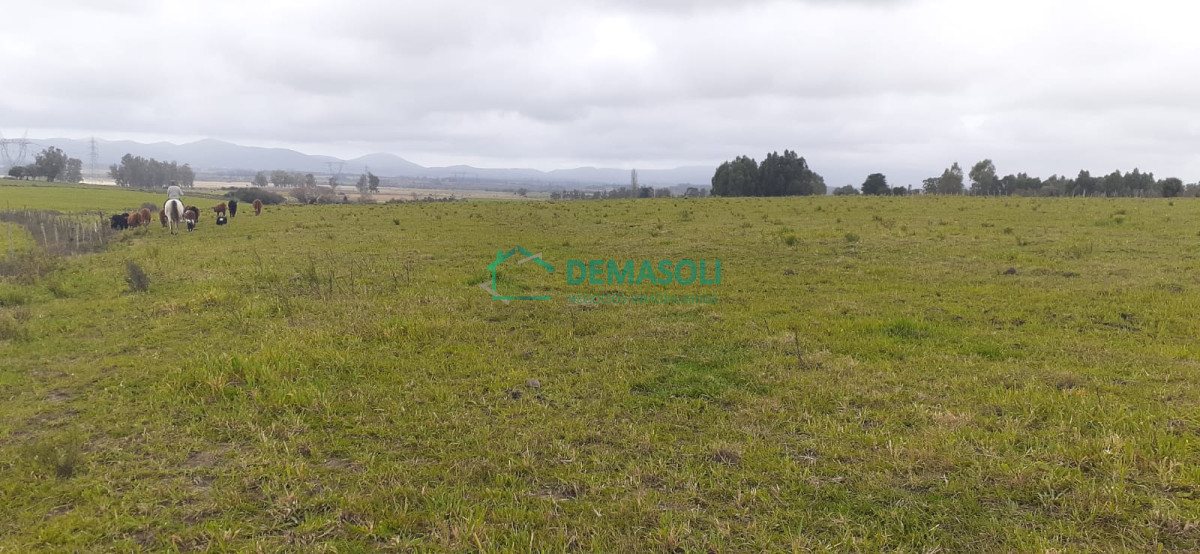 Chacra ID.569 - 