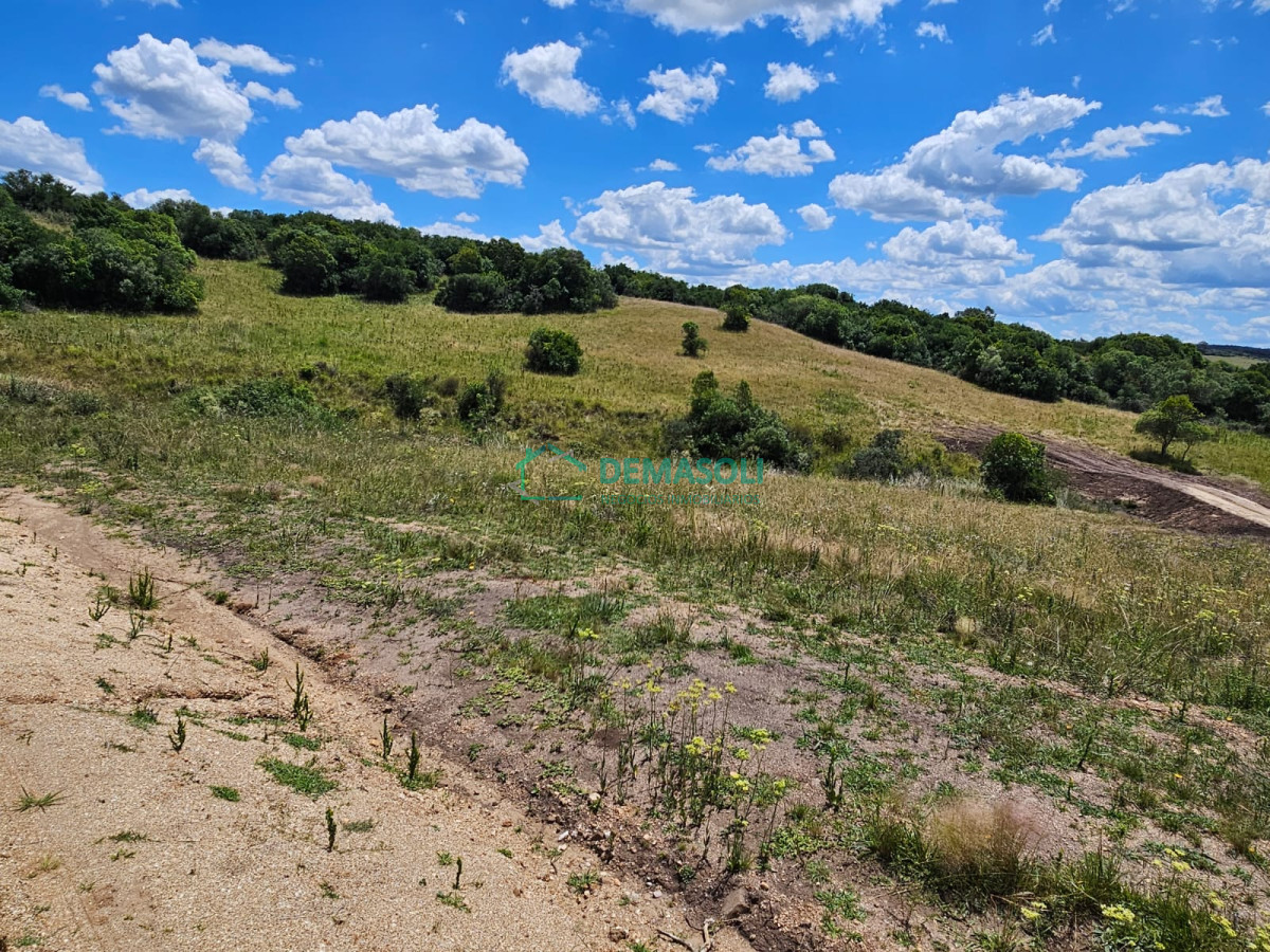 Chacra ID.1297 - 4 CHACRAS EN VENTA A POCOS KM DE GARZÓN Y JOSÉ IGNACIO