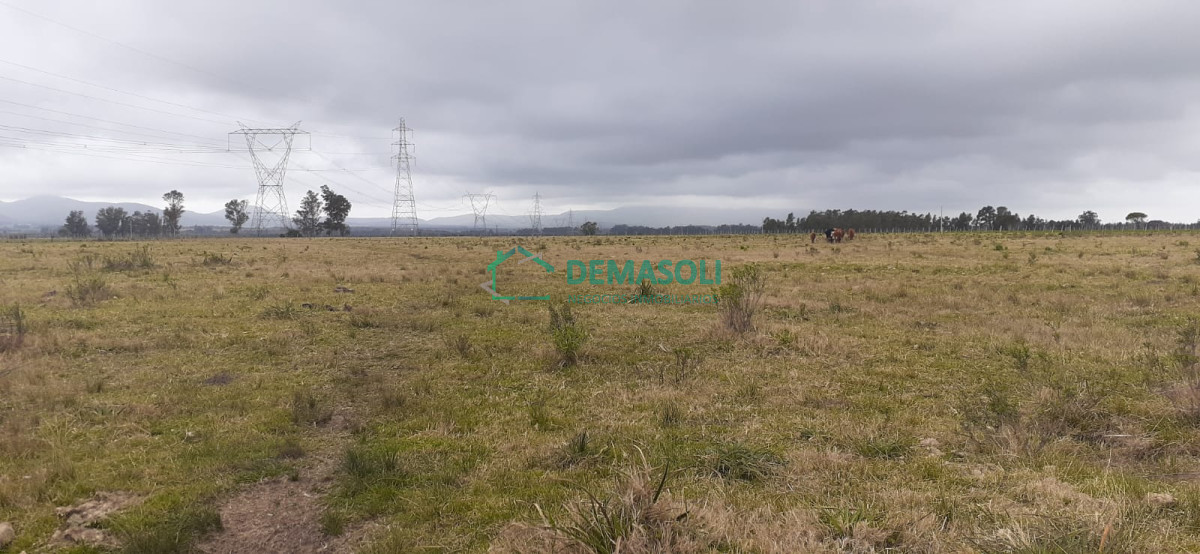Chacra ID.569 - 