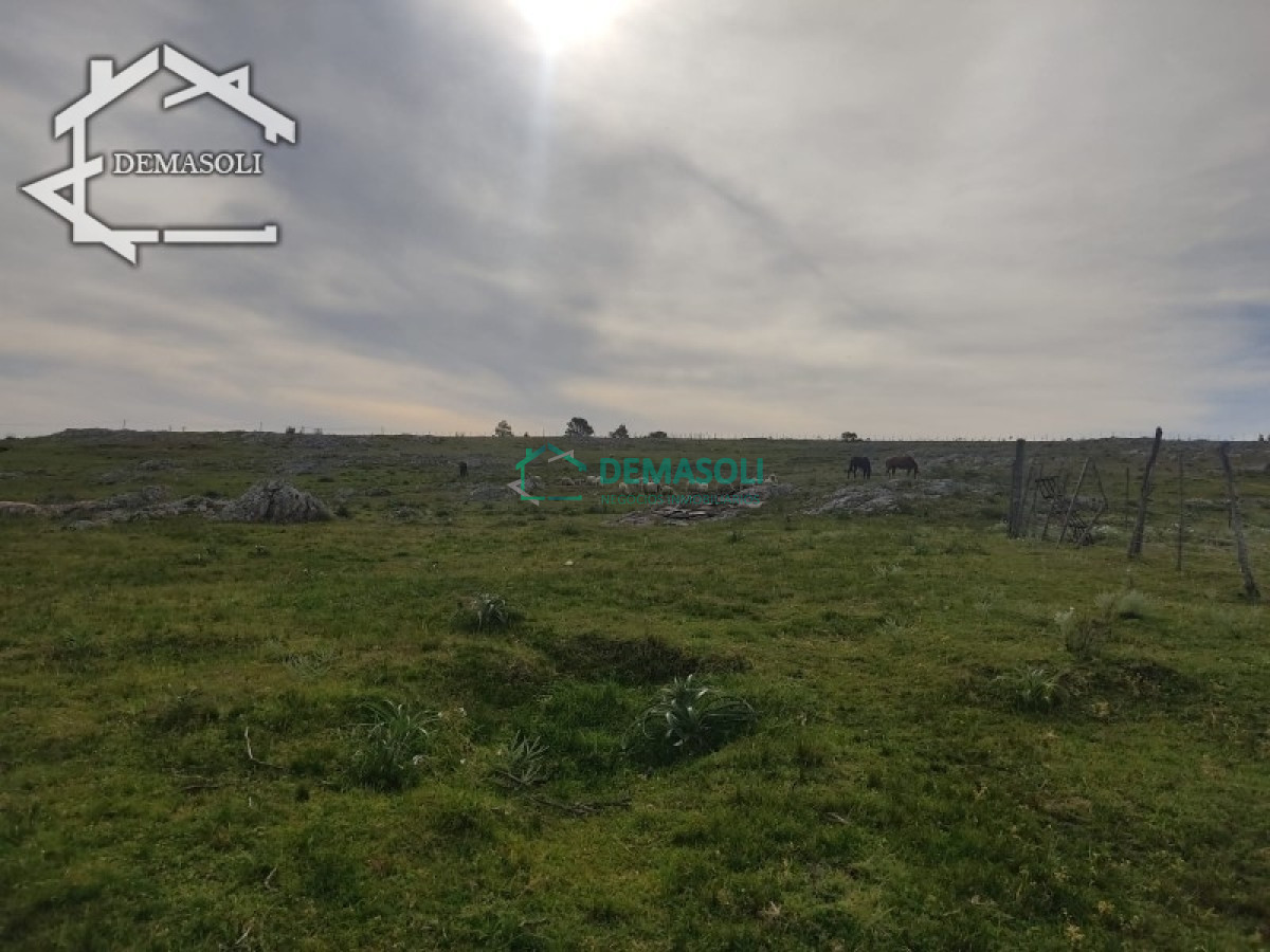 Chacra ID.37 - 11 has 8000 M2 con casa proximidades Pan de Azúcar