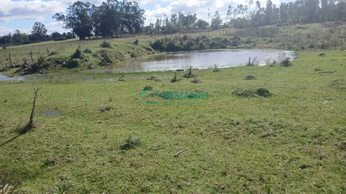 Chacra ID.1570 - Chacra con casa de 3 has Solis Grande, Maldonado