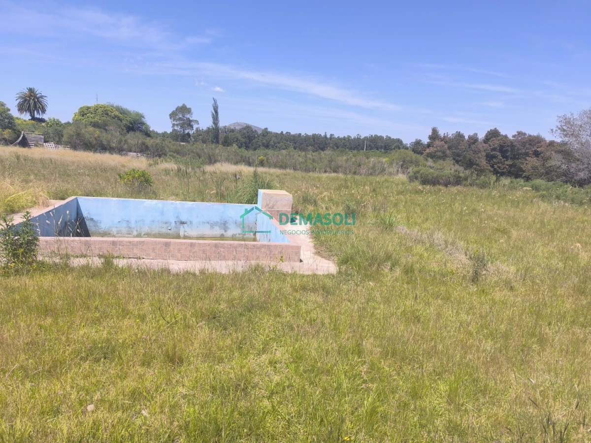 Chacra ID.1376 - 3 has 3120 m2 chacra con casas y Piscina a pocos minutos de Pan de Azúcar, Maldonado 