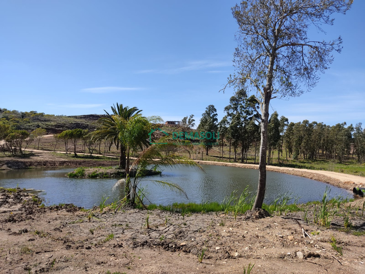 Chacra ID.677 - 