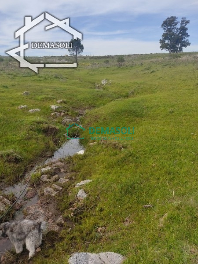 Chacra ID.37 - 11 has 8000 M2 con casa proximidades Pan de Azúcar