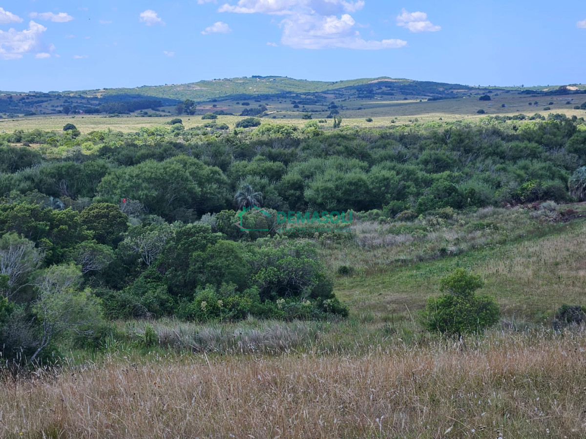 Chacra ID.1297 - 4 CHACRAS EN VENTA A POCOS KM DE GARZÓN Y JOSÉ IGNACIO