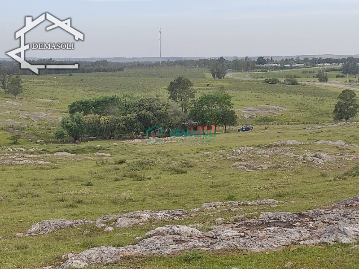 Chacra ID.37 - 11 has 8000 M2 con casa proximidades Pan de Azúcar