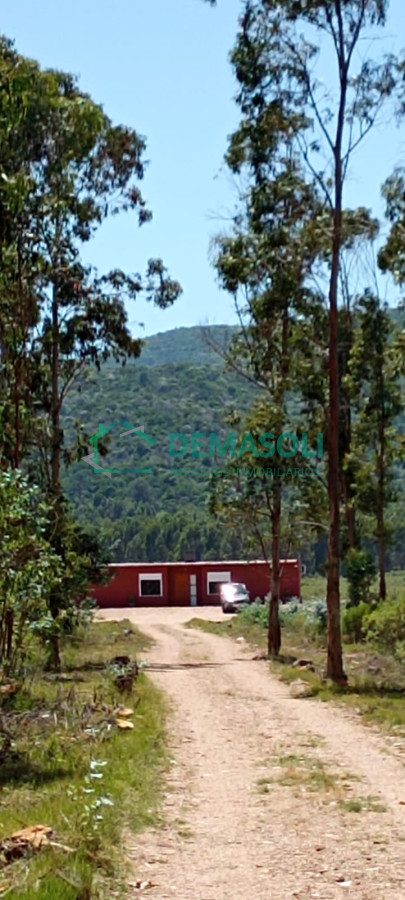 Chacra ID.1279 - CHACRA EN CERROS AZULES