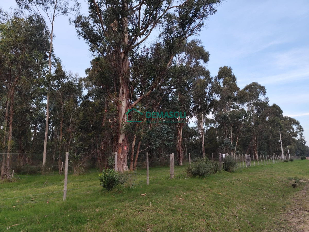 Chacra ID.1279 - CHACRA EN CERROS AZULES