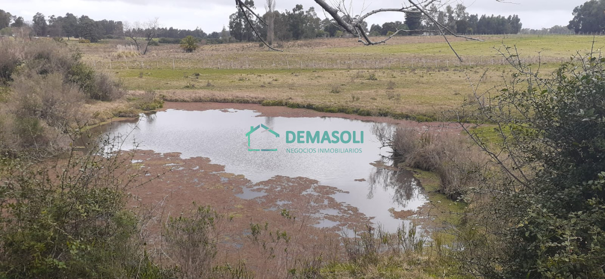 Chacra ID.569 - 