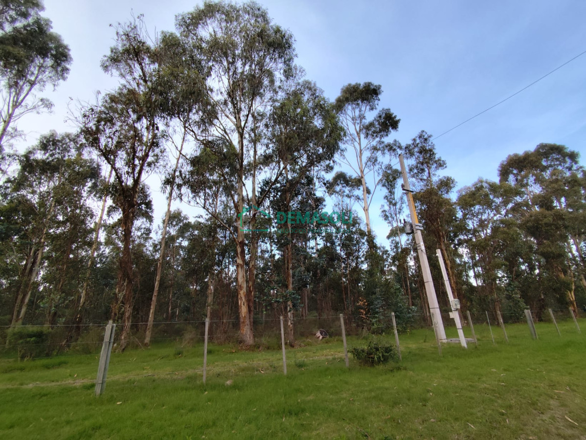 Chacra ID.1279 - CHACRA EN CERROS AZULES