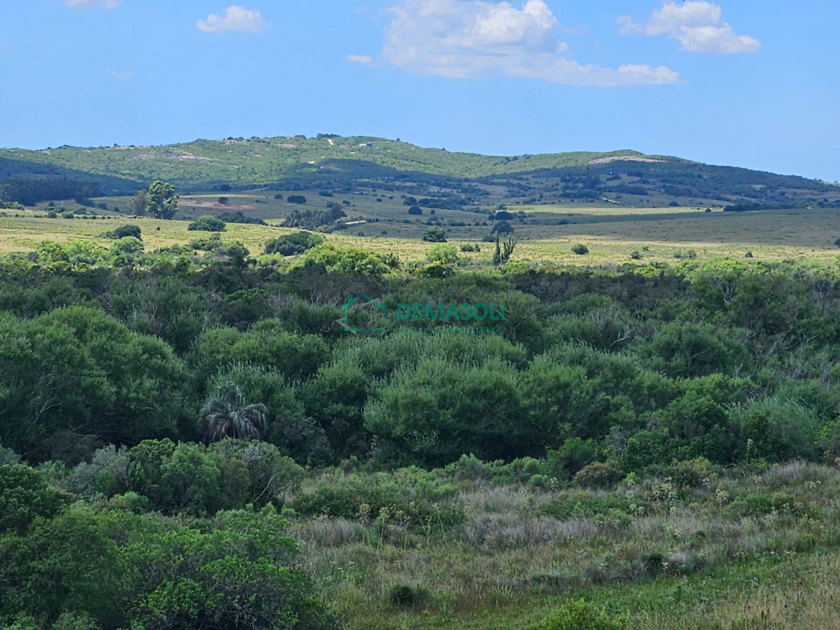 Chacra ID.1297 - 4 CHACRAS EN VENTA A POCOS KM DE GARZÓN Y JOSÉ IGNACIO
