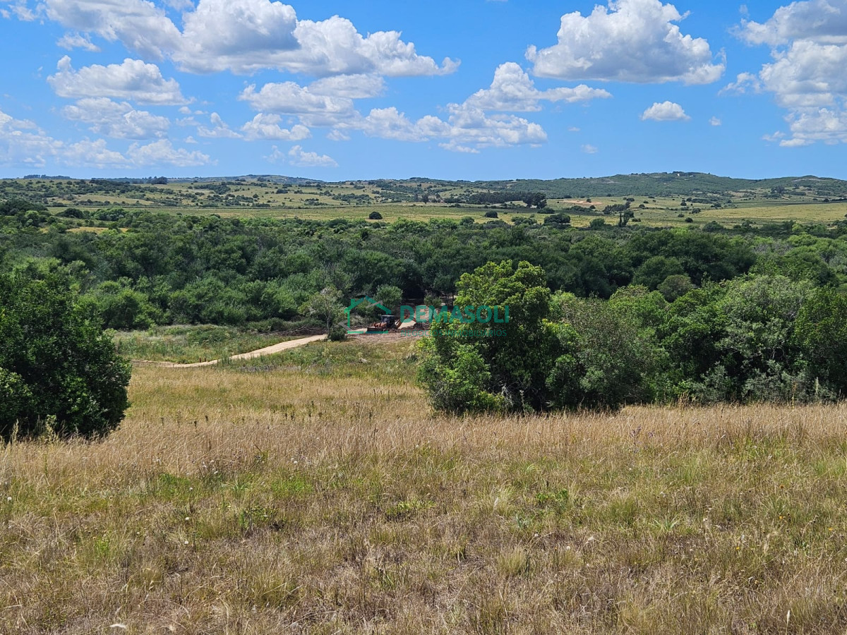 Chacra ID.1297 - 4 CHACRAS EN VENTA A POCOS KM DE GARZÓN Y JOSÉ IGNACIO