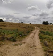 Se vende chacra en Puntas de José Ignacio