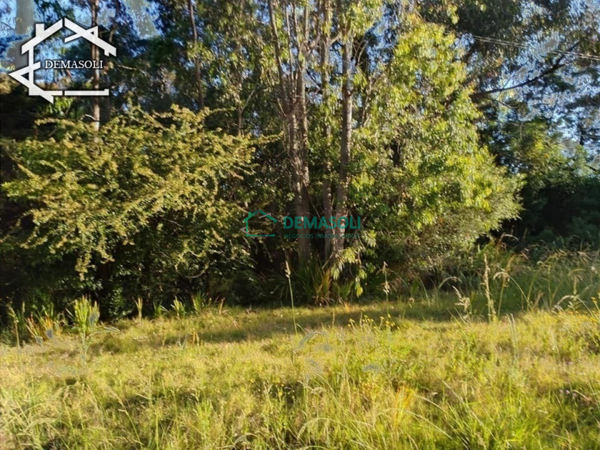 Terreno ID.121 - Terreno ubicado en Charrúa y Argentina. Balneario Solís.Maldonado