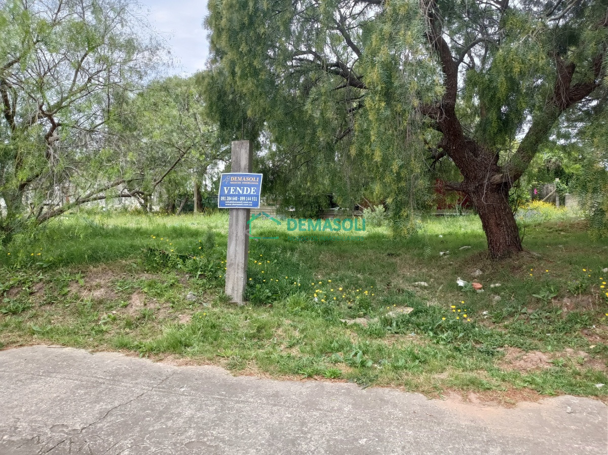 Terreno ID.692 - Terreno en Pan de Azucar, Pan de Azucar