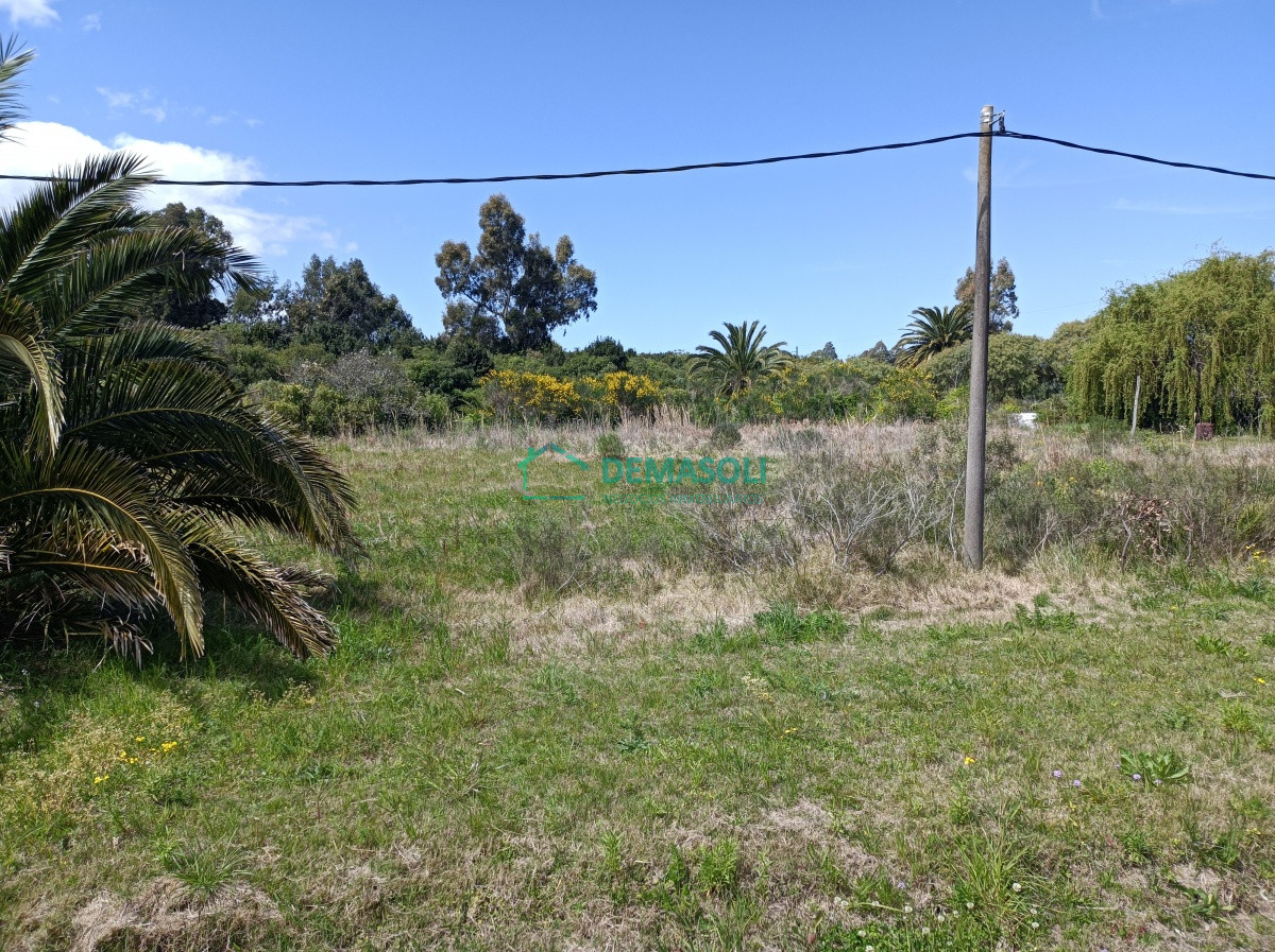 Terreno ID.622 - Se vende o permuta mayor valor, terreno de 1013 m2 Estacion Las Flores 