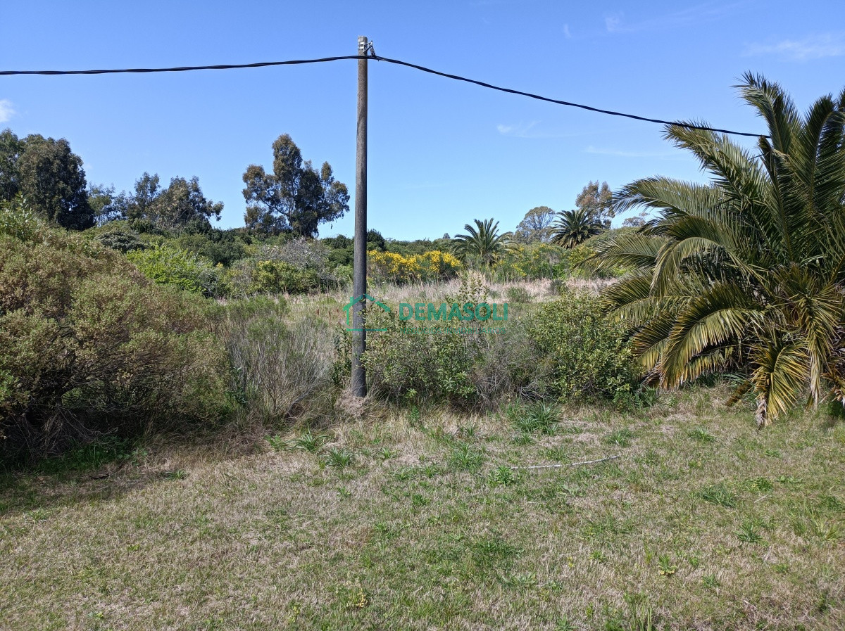 Terreno ID.622 - Se vende o permuta mayor valor, terreno de 1013 m2 Estacion Las Flores 