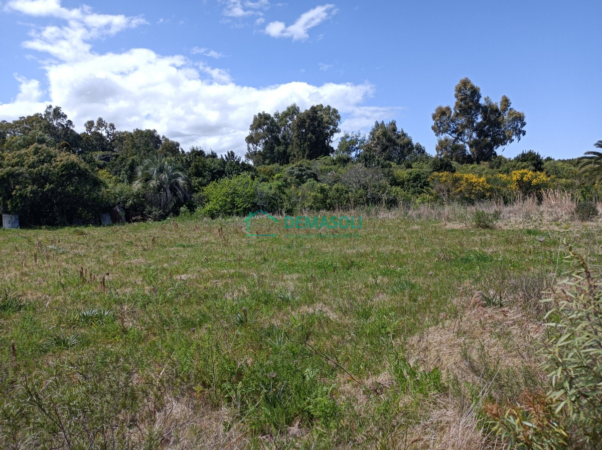 Terreno ID.622 - Se vende o permuta mayor valor, terreno de 1013 m2 Estacion Las Flores 
