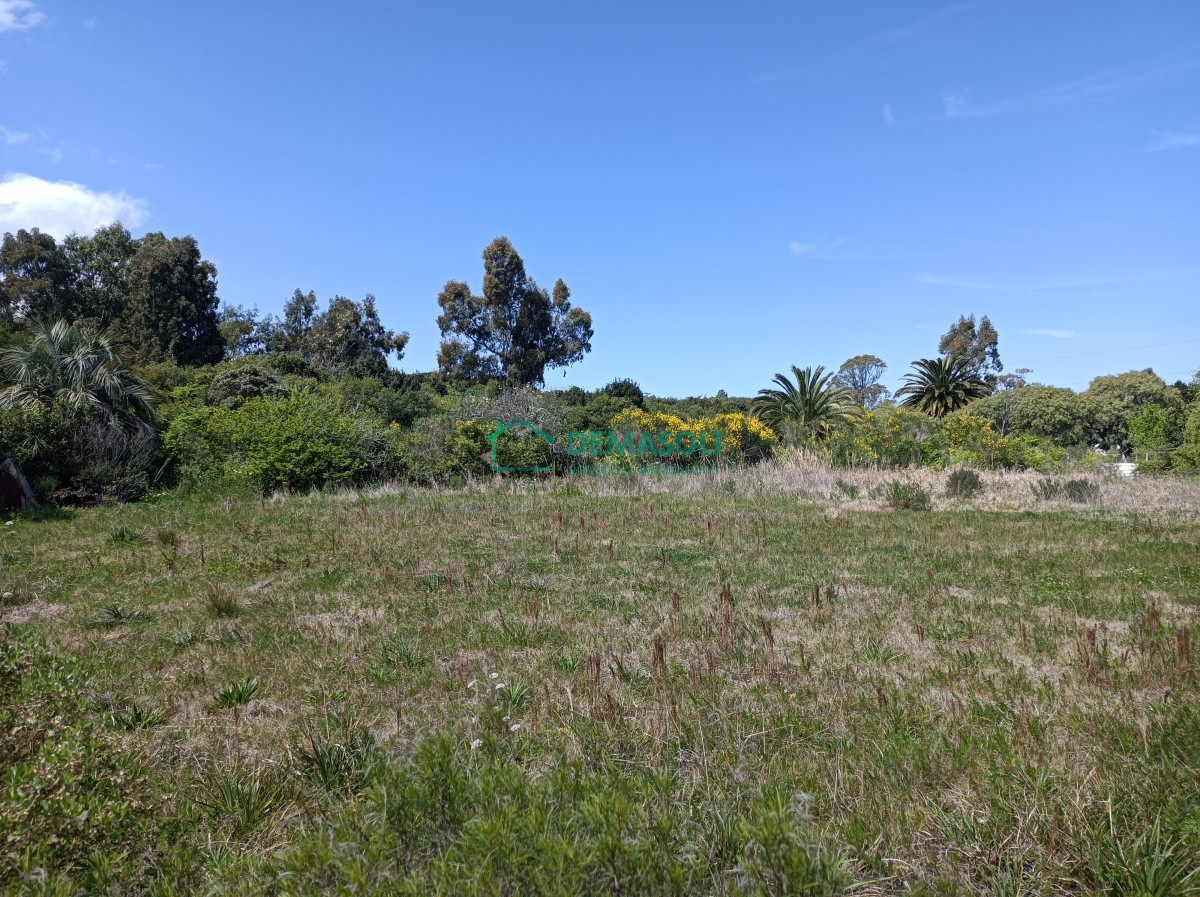 Terreno ID.622 - Se vende o permuta mayor valor, terreno de 1013 m2 Estacion Las Flores 