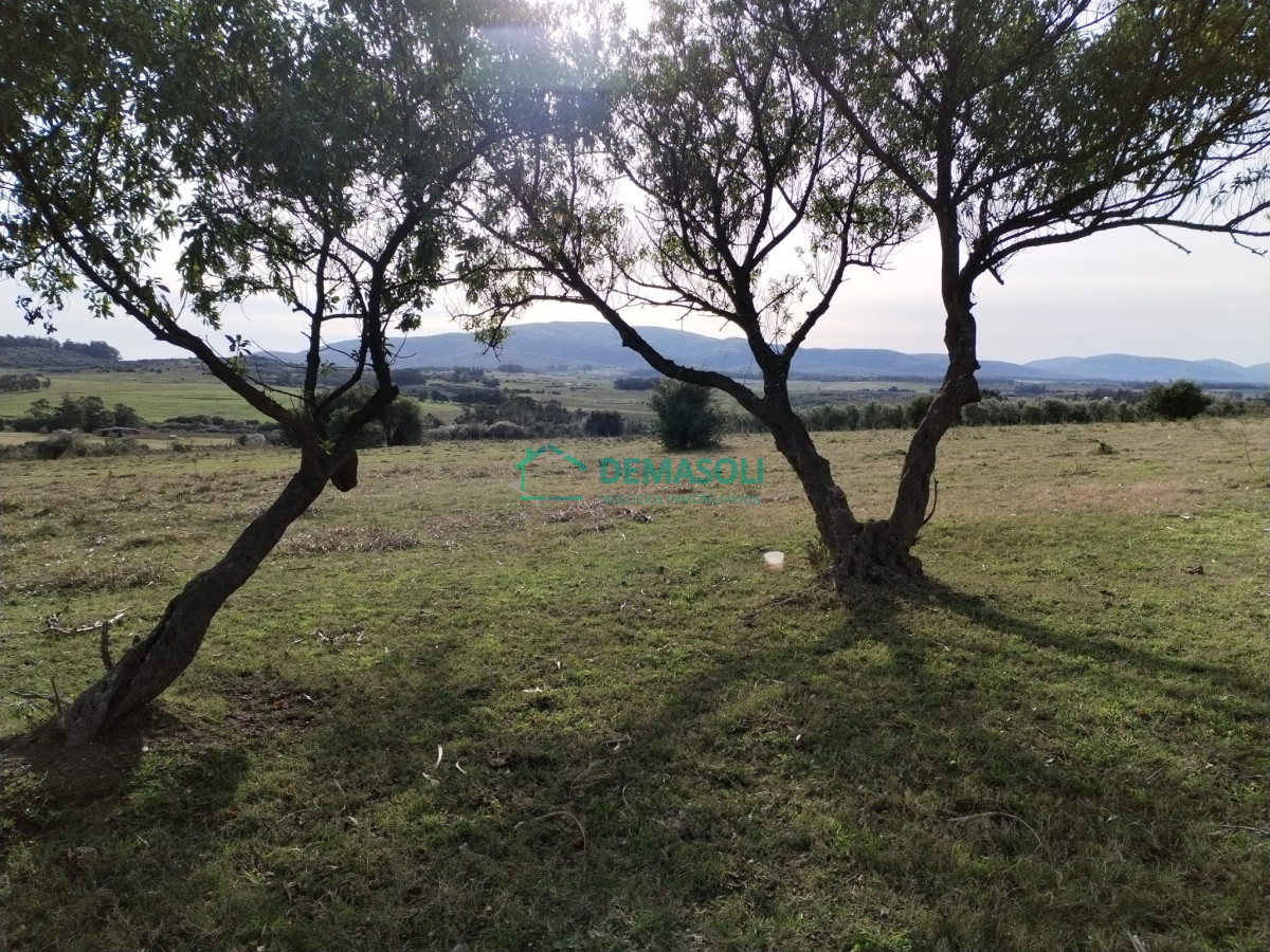 Terreno ID.1059 - Se vende terreno en proximidades a Pan de Azúcar con excelentes vistas a las sierras 
