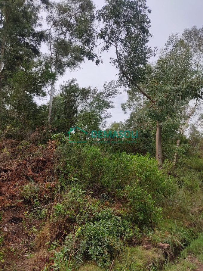 Terreno ID.1090 - Se venden 4 terrenos en Sierras Del Tirol  posible financiación