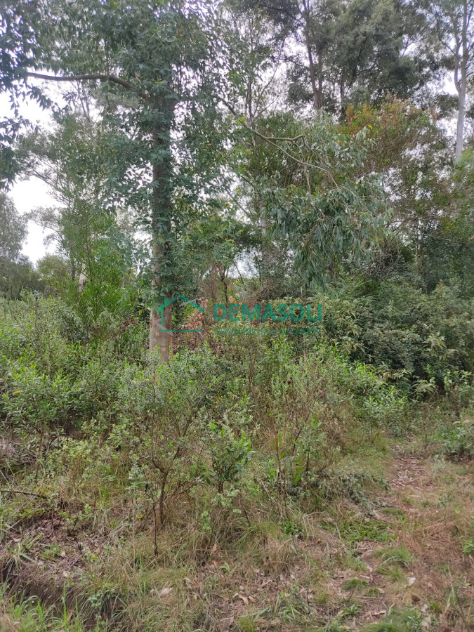 Terreno ID.1090 - Se venden 4 terrenos en Sierras Del Tirol  posible financiación