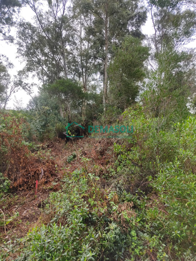 Terreno ID.1090 - Se venden 4 terrenos en Sierras Del Tirol  posible financiación