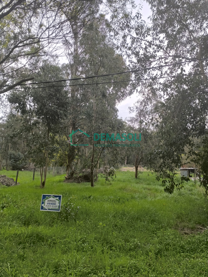 Terreno ID.1298 - Se vende terreno en Sauce de Portezuelo Maldonado, posible financiación