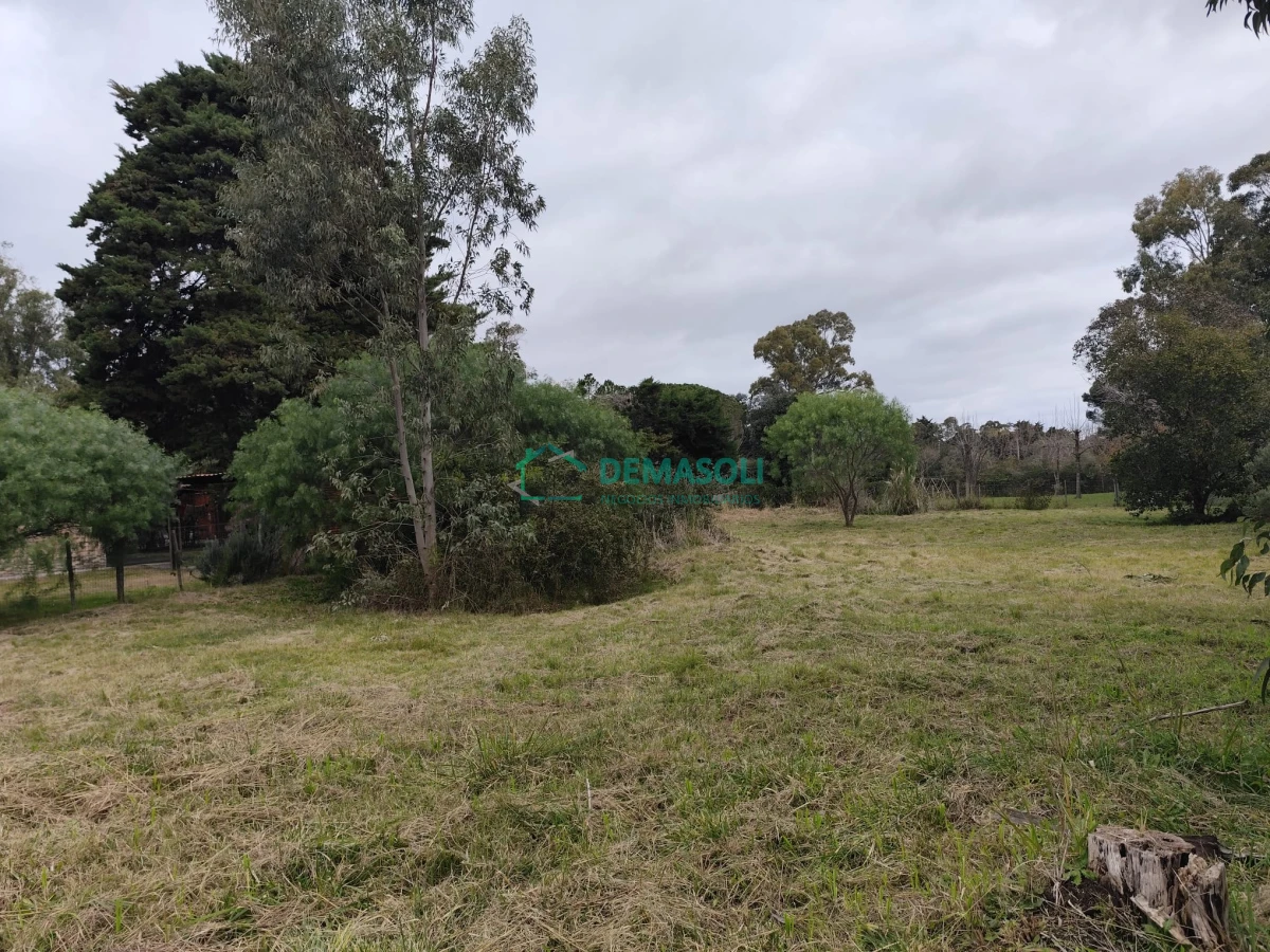 Terreno ID.1283 - TERRENO EN BALNEARIO SOLIS