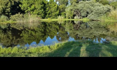 Chacra de 6.26 Hectáreas en José Ignacio: Ubicación Privilegiada con Casa de Personal