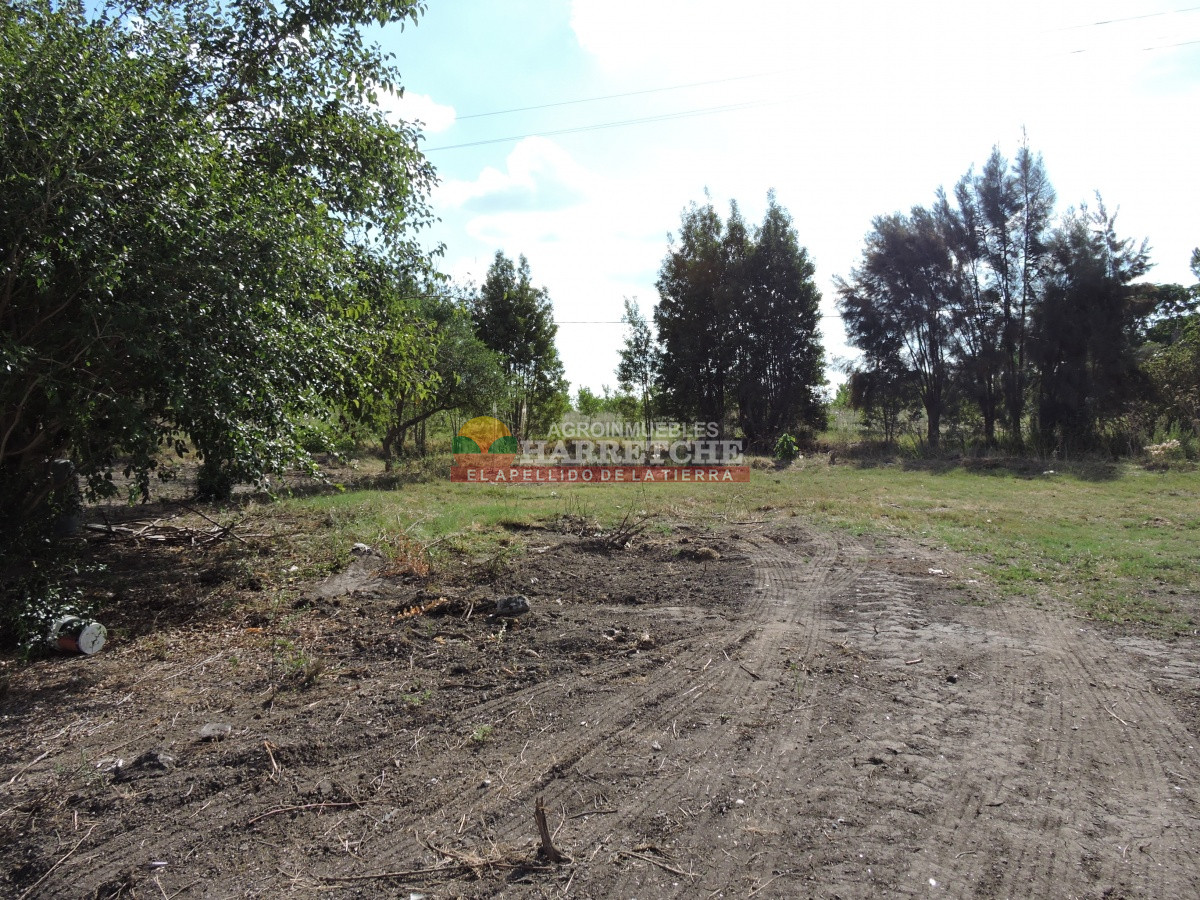 Casa ID.299 - Casa en venta - Casa Quinta en venta  Camino Perugorria a 5 min de Las Piedras 