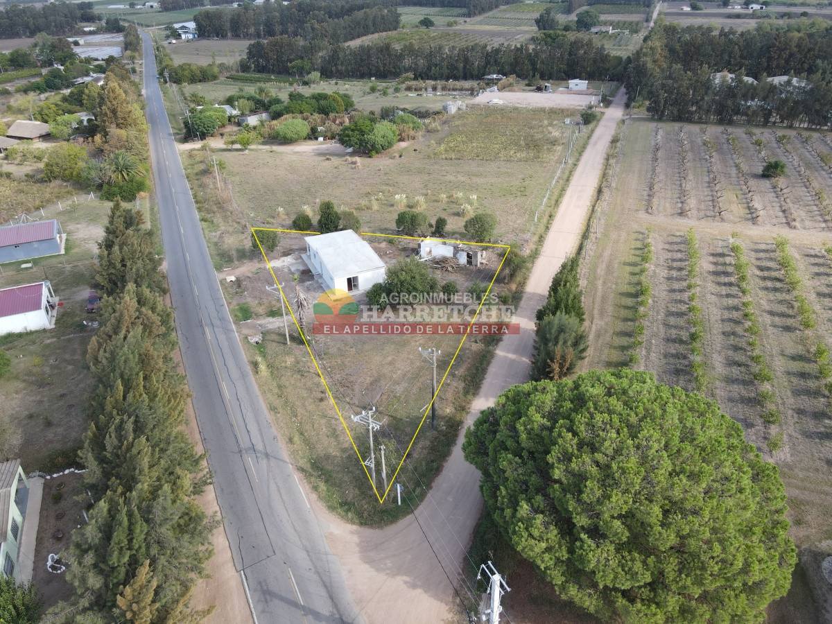 Casa ID.299 - Casa en venta - Casa Quinta en venta  Camino Perugorria a 5 min de Las Piedras 