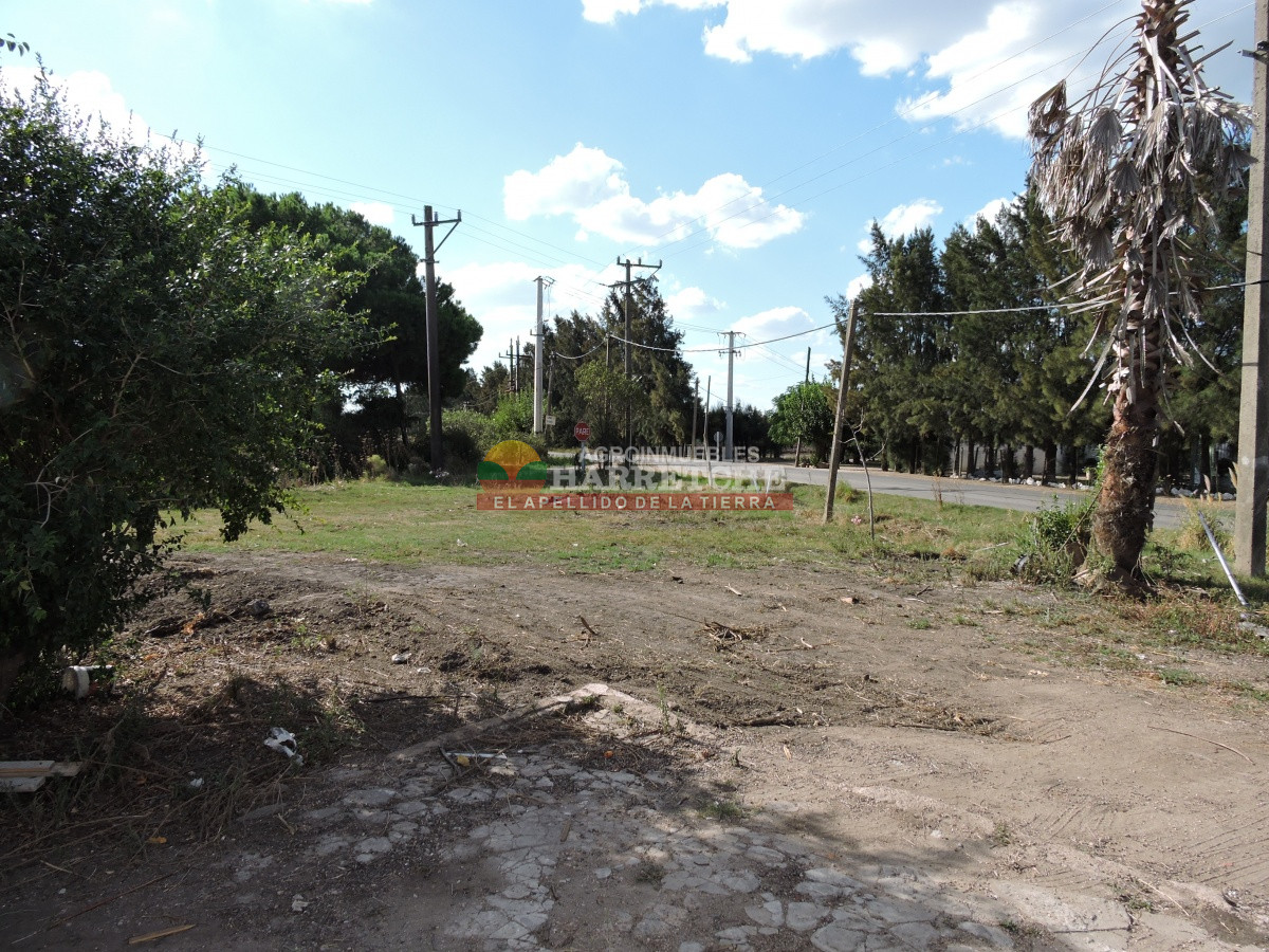 Casa ID.299 - Casa en venta - Casa Quinta en venta  Camino Perugorria a 5 min de Las Piedras 