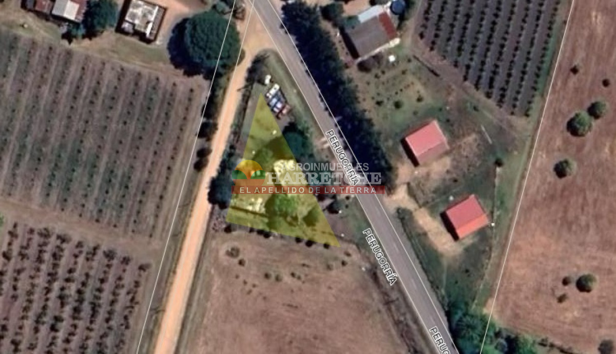 Casa ID.299 - Casa en venta - Casa Quinta en venta  Camino Perugorria a 5 min de Las Piedras 