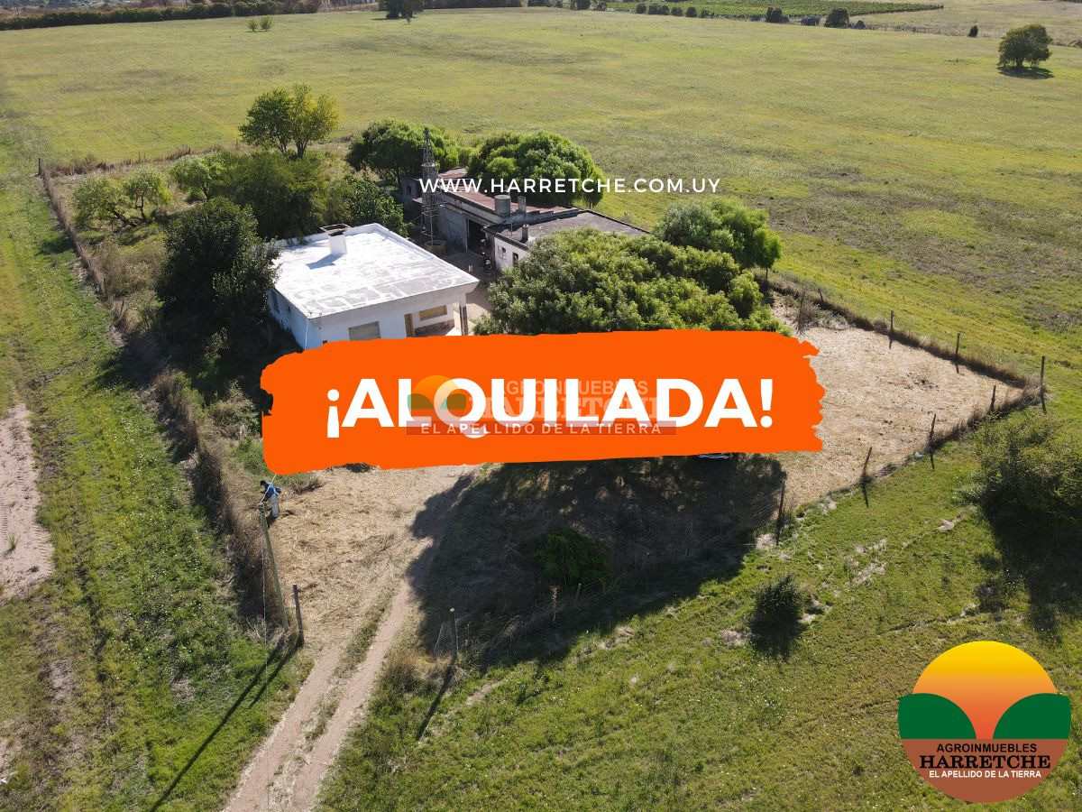 Casa ID.502 - Alquilo casa quinta en Progreso, 3 dorm, galpones, hermoso entorno! 