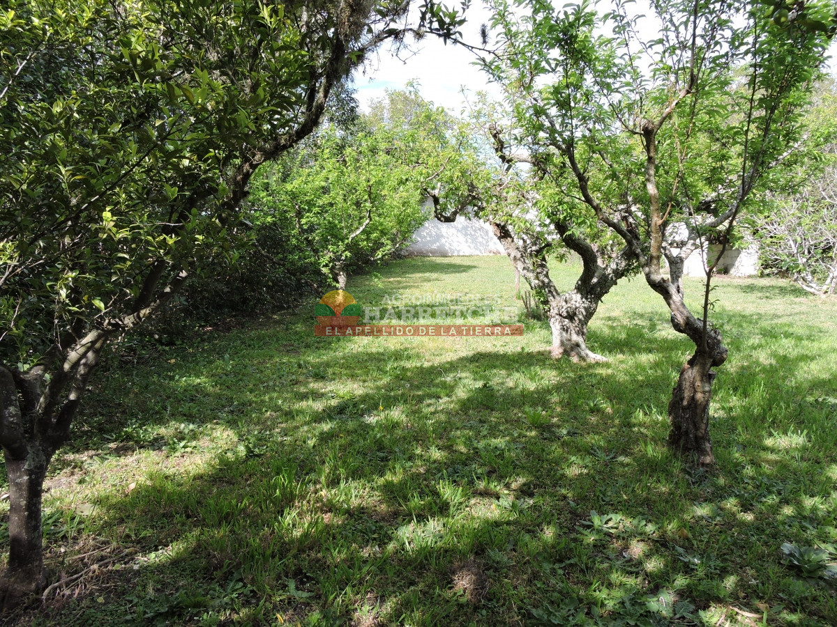 Casa ID.342 - Casa en Los Cerrillos, 3 dorm, mas de 800m2 de terreno! 