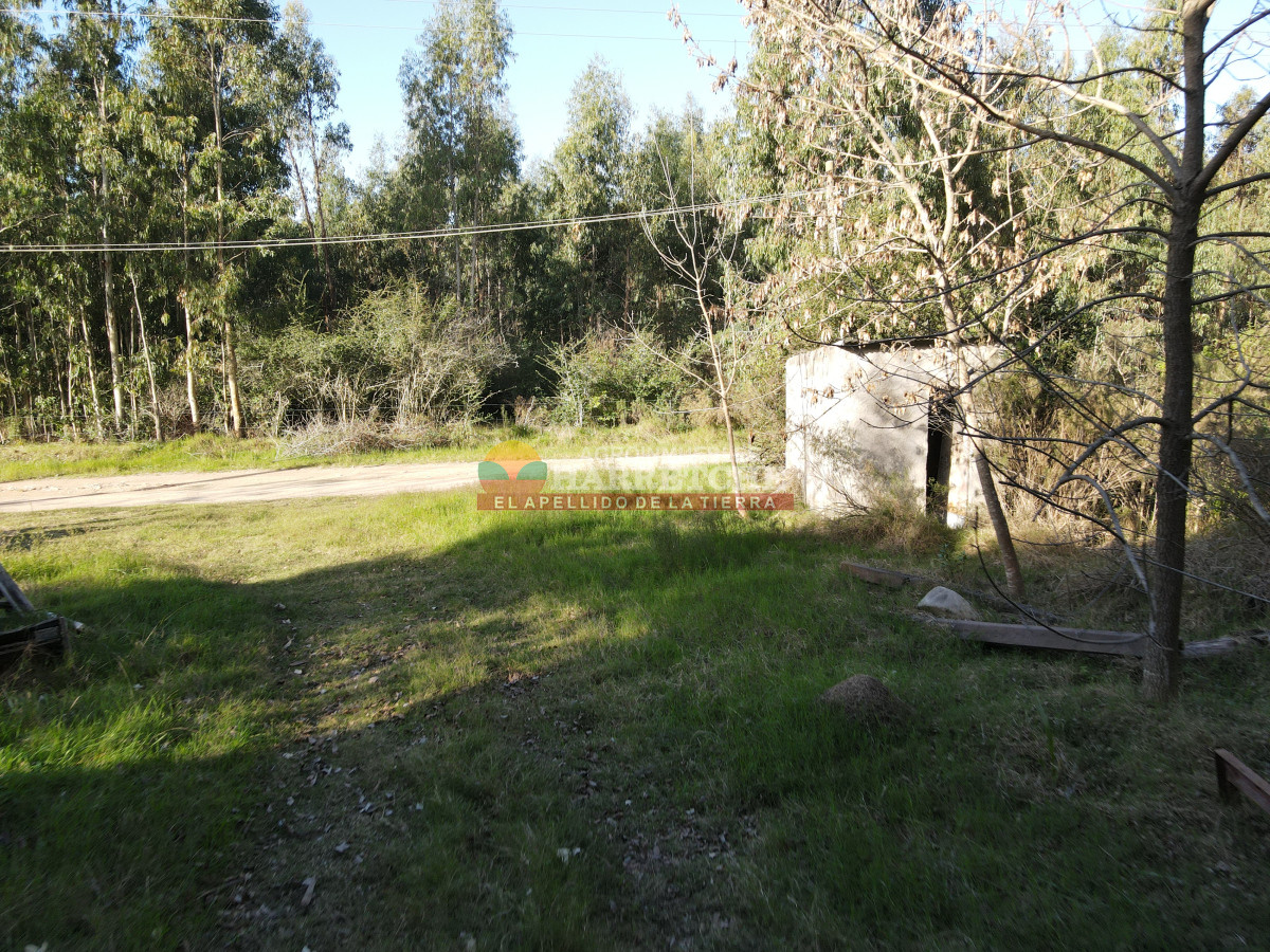 Galpón ID.465 - Alquilo galpón, 600 m2 techados, a 10 minutos de Atlántida.