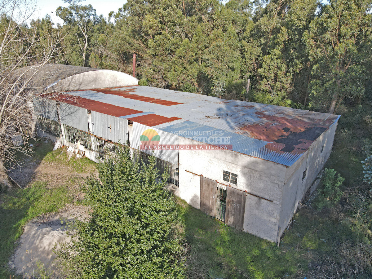 Galpón ID.465 - Alquilo galpón, 600 m2 techados, a 10 minutos de Atlántida.