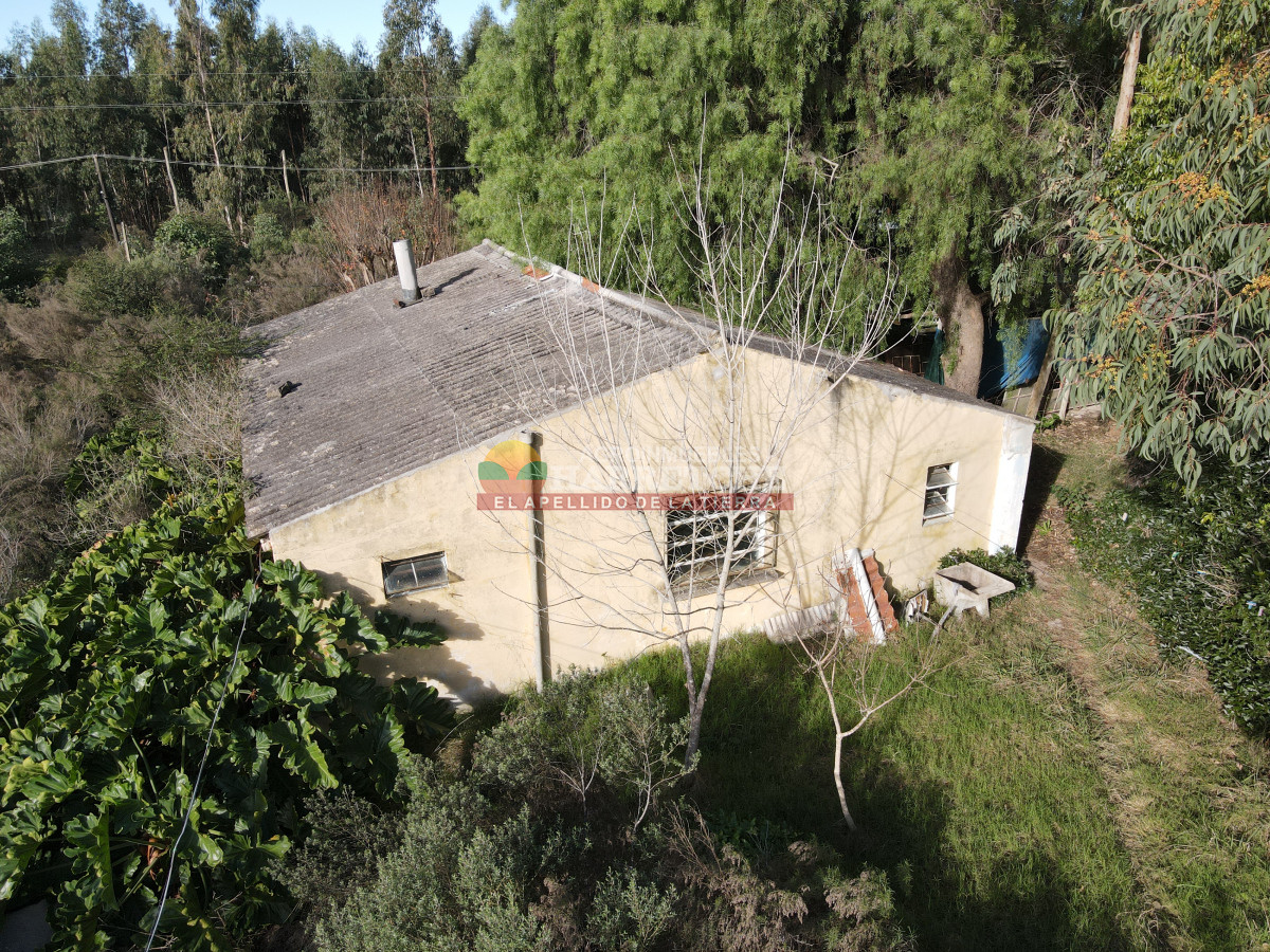 Galpón ID.465 - Alquilo galpón, 600 m2 techados, a 10 minutos de Atlántida.