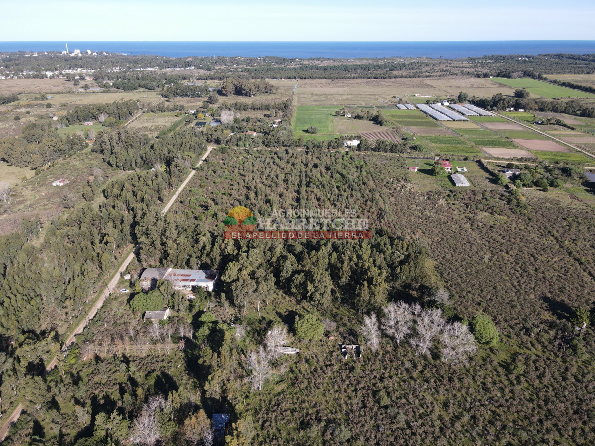 Galpón ID.465 - Alquilo galpón, 600 m2 techados, a 10 minutos de Atlántida.
