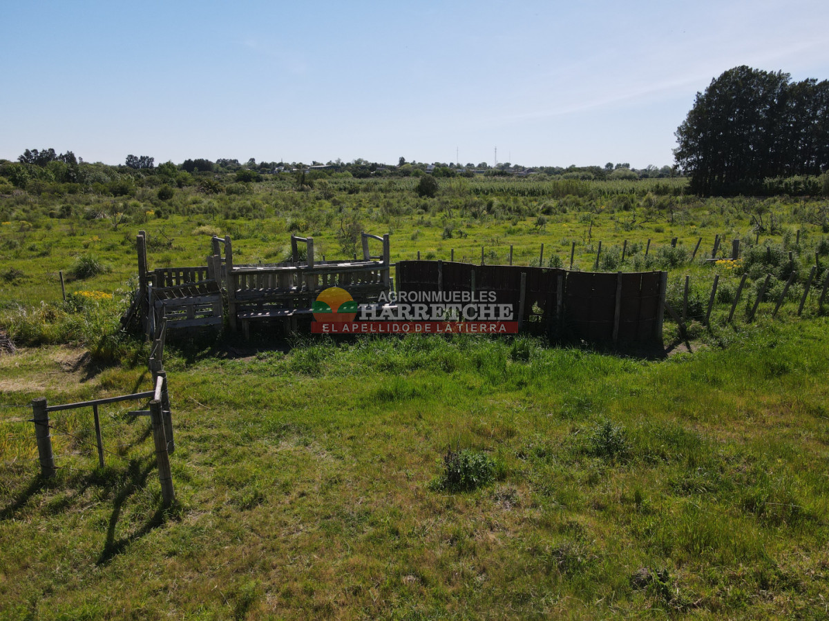 Chacra ID.493 - Chacra en Los Cerrillos, 4 has con casa, galpón, arroyo!