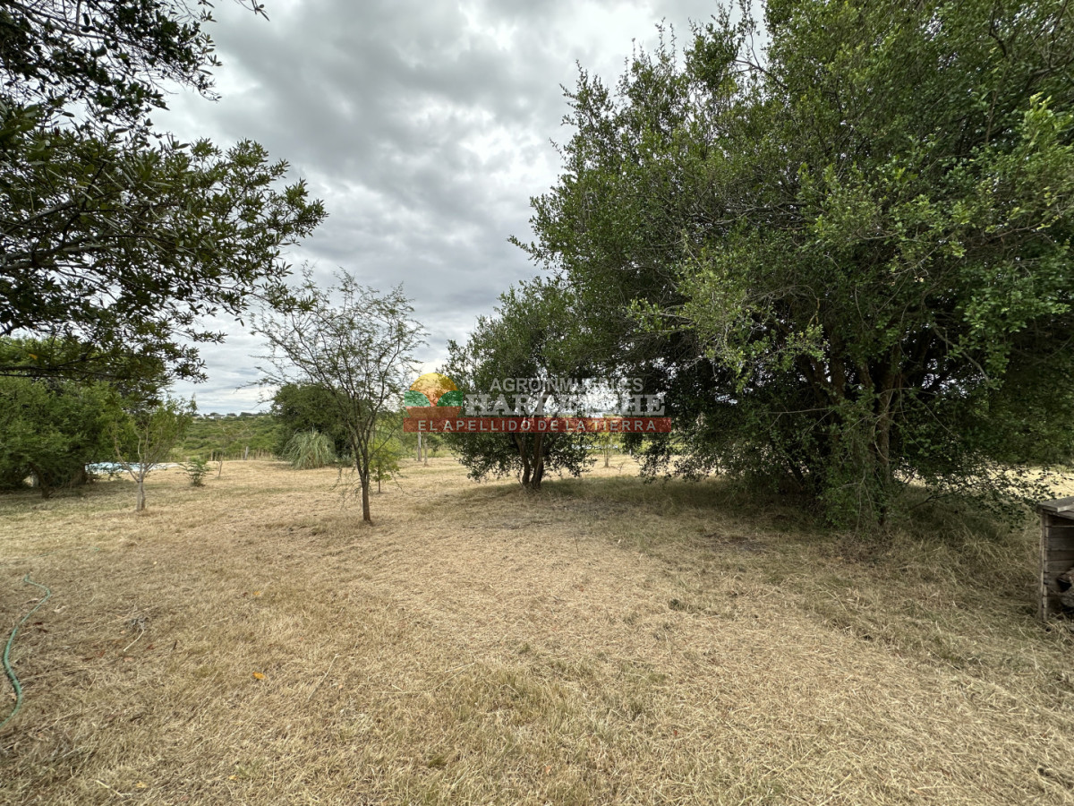 Chacra ID.503 - Chacra en Rincón del Colorado, 3 has, 2 casas, piscina.