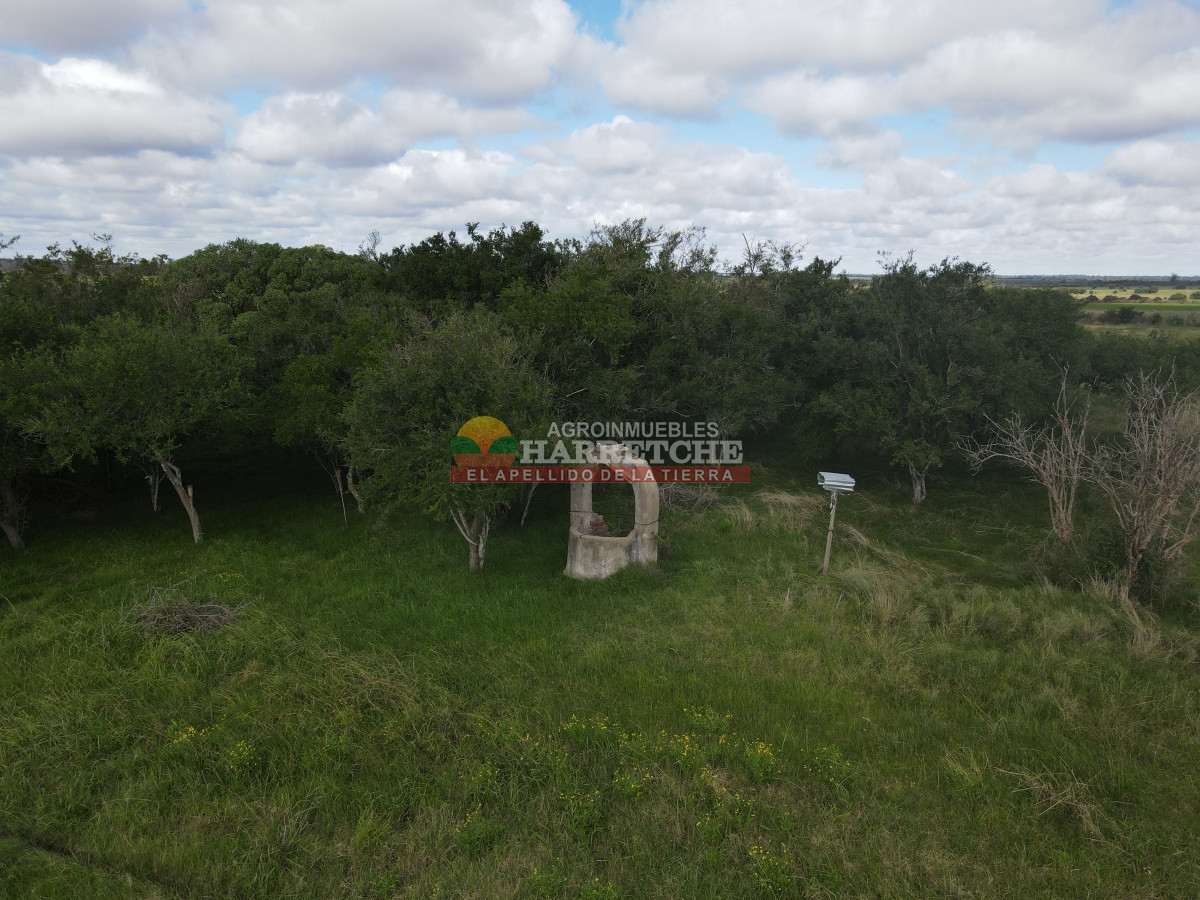 Chacra ID.384 - Chacra de 5 has en Los Cerrillos, cañada, alambrados, muy lindo entorno!