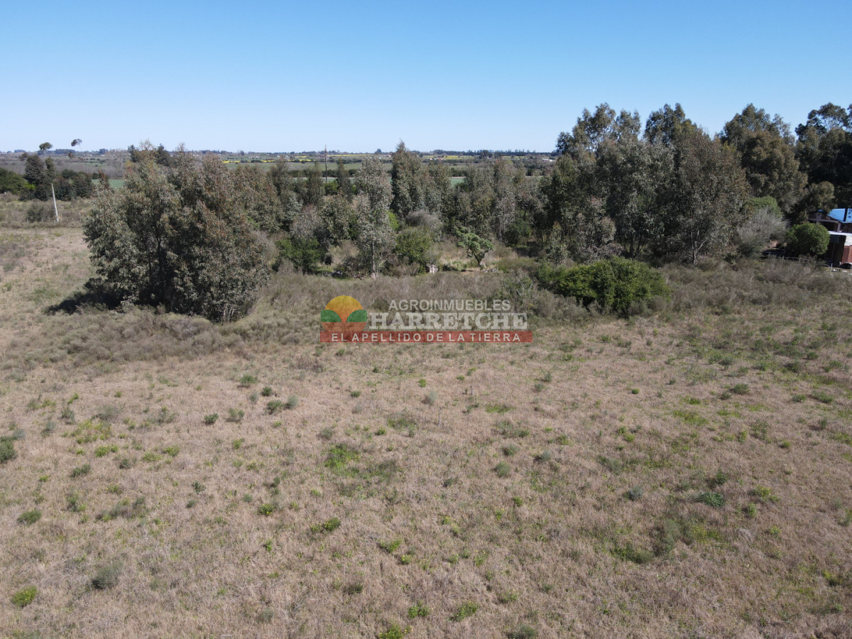 Chacra ID.538 - Chacra de 2 has en Los Cerrillos, zona alta, hermoso lugar!